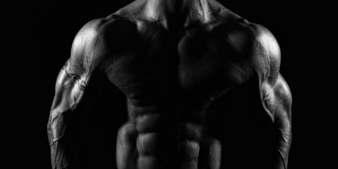 home gym equipment for the upper body